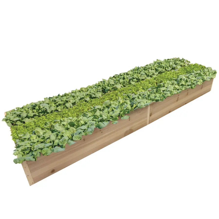 Pflanzkasten Frühbeet Kräuterbeet Blumenbeet von terra-garten