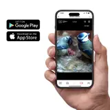 Gardenature Vogelhaus Vogelkasten mit WIFI KAMERA 4MP – Ansicht 5