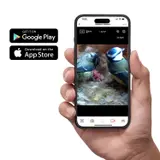 Gardenature Vogelhaus Vogelkasten mit WIFI Kaera 4MP und SOLAR – vue 4