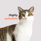 Multifit Healthy Cat Gummies – Leckere & Nahrhafte Ergänzungen für Verdauung, Fellpflege & Immunsystem Ihrer Katze | DotDotPet – vista 2