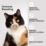 Multifit Healthy Cat Gummies – Leckere & Nahrhafte Ergänzungen für Verdauung, Fellpflege & Immunsystem Ihrer Katze | DotDotPet – vista 3