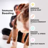 Multifit Healthy Dog Gummies für Hunde – Leckere & Nahrhafte Ergänzungen für Verdauung, Hautpflege & Fellgesundheit | DotDotPet – view 2