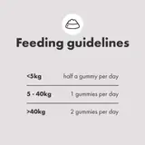 Multifit Healthy Dog Gummies für Hunde – Leckere & Nahrhafte Ergänzungen für Verdauung, Hautpflege & Fellgesundheit | DotDotPet – view 5